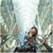 Offro lezioni private di inglese per studenti dalle elementari ai corsi universitari di lingua e per autodidatti; certificata C1