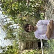 Kamran