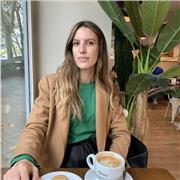 ingles, ingles profesional