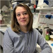 Prenota la tua lezione oggi e inizia il viaggio nel mondo affascinante della biologia! 🔬 Contattami per maggiori informazioni!