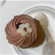 I can help you Improve your English with reading writing listening and speaking