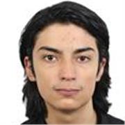 Professeur natif, Tous niveaux