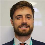 I have 10 years' experience as a Teacher of History and Politics in UK schools. I now work as a private GCSE & A Level tutor