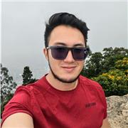 Profesor de piano, gramática músical, armonía y preuniversitario en música