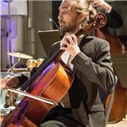 Titulaire du Diplôme d'Etat donne cours de violoncelle