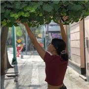 Mathe- und Sprachunterricht von privatem Lehrer Anna