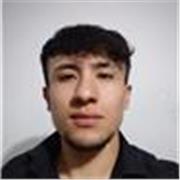 Profesor de mecánica, motores de combustión interna, sensores, sistemas de transmisión de potencia y electricidad básica