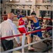 Vuoi imparare le basi? Io te li darò