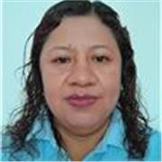 Desarrollo de habilidades cognitivas