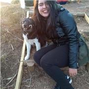 Profesora de Matemáticas particular desde educación básica hasta educación superior