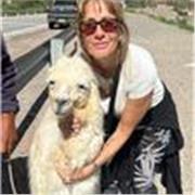 Profesor particular y/oe en grupos reducidos de Lengua Castellana y Literatura, Historia, Cívica