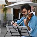 Hai intenzione di imparare a suonare il violino? faccio al caso tuo!