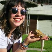 Clases particulares dinámicas y divertidas para aprender todo sobre el inglés!