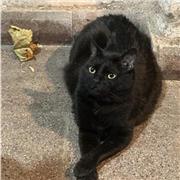 Clases particulares de matemáticas y física para alumnos de hasta cuarto medio