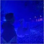 Estudiante de 3° año de universidad con buenas calificaciones y ganas de enseñar