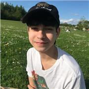 GCSE Foundation and Higher Maths, A-Level Maths and Further Maths Tutor, Grade 8/9, A/A* level content and tutoring