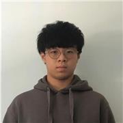 Maths tutoring for all year groups including year 13