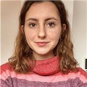 Offro lezioni di italiano, storia e filosofia dalla scuola primaria al liceo.