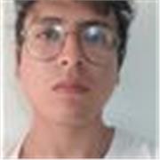 Profesor de Literatura especializado en la educación secundaria