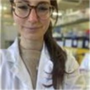 RIpetizioni di biologia e chimica per studenti medie e superiori