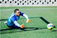 Director tecnico de futbol