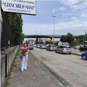 Diplomata al Liceo Scientifico Giancarlo Siani di Aversa (Indirizzo Linguistico) offre ripetizioni di inglese ai ragazzi delle scuole elementari