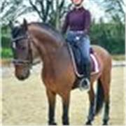 CLASES DE EQUITACIÓN PARTICULARES CON CABALLO PROPIO