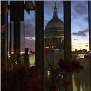 Si impartiscono lezioni di inglese: per studenti e lavoratori (sia online che in presenza)