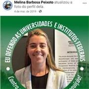 Aulas de matemática online; fundamental II e médio. Preparação para processo seletivo do IFES e ENEM