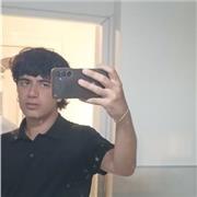 Offro ripetizioni di greco a Ferrara per ragazzi