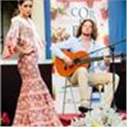 Impara a suonare la chitarra flamenca ONLINE!
Hola a todos los guitarristas!
Mi chiamo Francesco Bindella, chitarrista flamenco