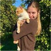 Estudiante de ingenieria busca alumnos para dar clases de todos los niveles.