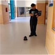 Profesor de Álgebra apto para todas las edades