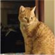 Soy ambientóloga, por lo que tengo conocimiento de biología, ciencias de la tierra, geología...