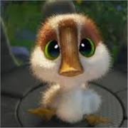 Shivani