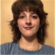 No soy una profesora , pero he estado informándome y estudiando artes durante toda mi vida. Habiendo hecho bachiller de artes