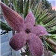 Reforço escolar do ensino fundamental ate ensino médio