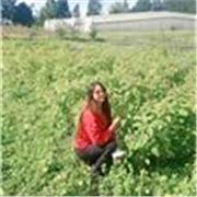 Profesora titulada en Ingeniería Agrónoma con máster en Enología y Adaptación al Cambio Climático. Imparto clases online