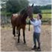 Veterinary physiotherapy masters student