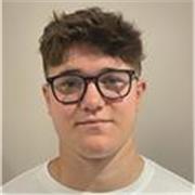 History and Politics Tutor - GCSE and A Level