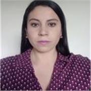 Docente de ingeniería civil en materias de especialización