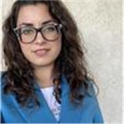 Fornisco lezioni di storia generale a studenti di elementari, medie e superiori