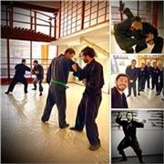 Shinsei Ryu Bujinkan Dojo. Es una escuela de artes Marciales dirigida por el Shidoshi Carlos Marinoni