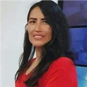 Professor de espanhol para executivos