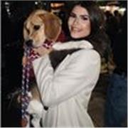 Estudio 2* de odontologia. He cursado bachillerato cientifico con media de 9,3 y puedo ayudarte en cualquier asignatura hasta 4ESO