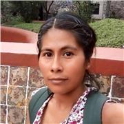 Insegnante di spagnolo per studenti delle scuole medie, superiori e istituti tecnici. Aiuto compiti