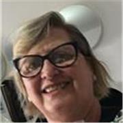 aulas de reforço online: Português (Leitura e Interpretação de texto. Produções de texto). e reforço nas Disciplinas do Ensino Fun