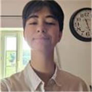 Cours d'anglais (niveaux: college/lycée/superieur)