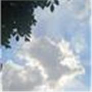 Apprends à lire le Coran avec aisance et maîtrise la langue arabe — des cours adaptés aux femmes et aux enfants.