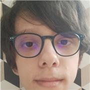 Actuellement en 1ere STMG Toujours eu de bonne notes en français analyse de texte ect...Je suis aussi assez bon en art ( Je recherche un job étudiant pour les vacances d octobre)